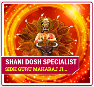 shani dosh specialist